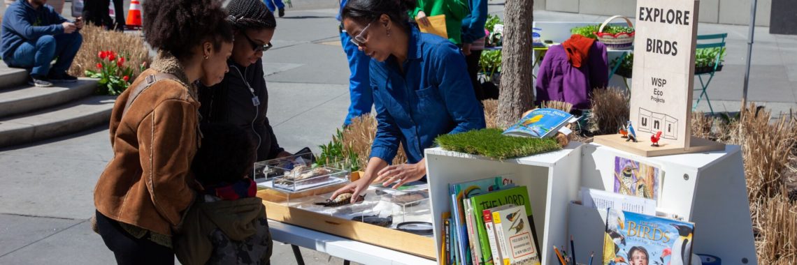 EXPLORE BIRDS with the Uni Project at Albee Square
