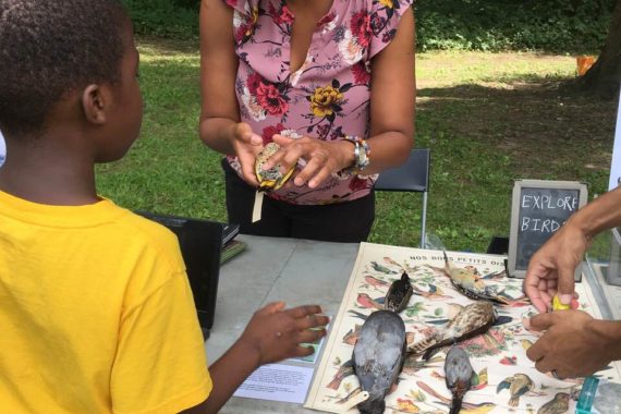 EXPLORE BIRDS, Pelham Bay Park Nature Day 2019