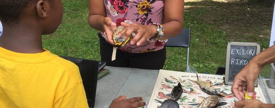 EXPLORE BIRDS, Pelham Bay Park Nature Day 2019