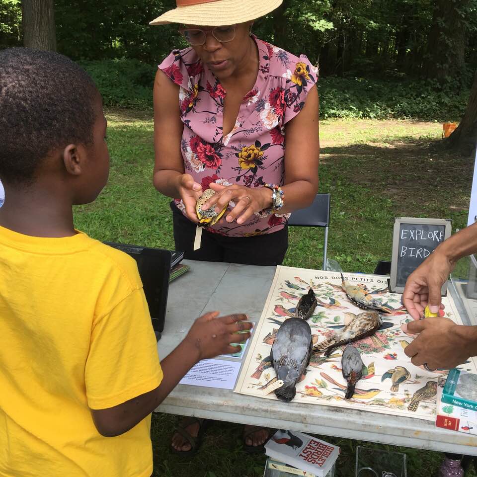 EXPLORE BIRDS at Pelham Bay Park Nature Day