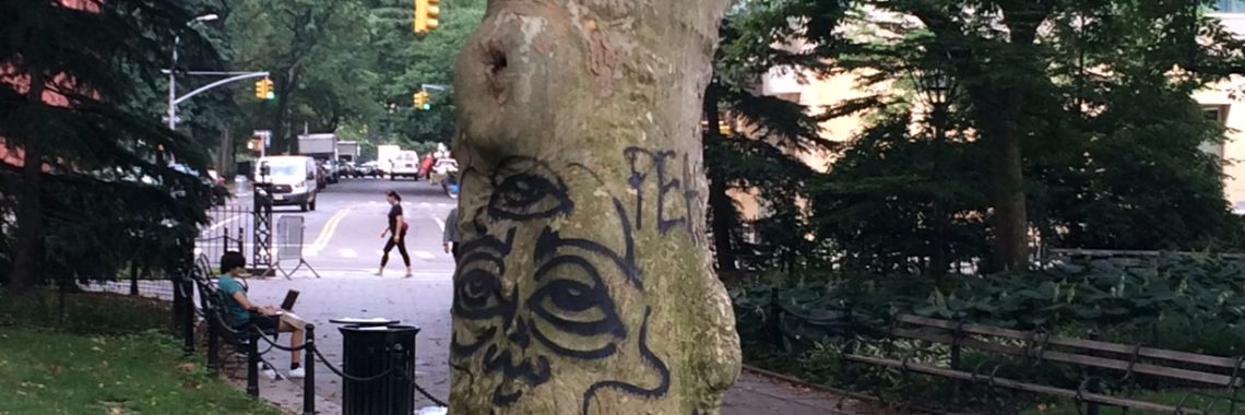 A tree spray painted in Washington Square Park