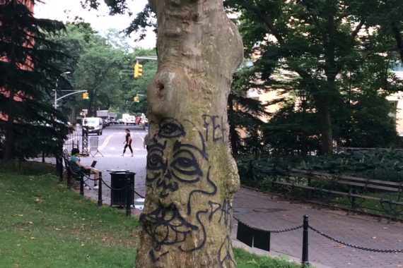A tree spray painted in Washington Square Park