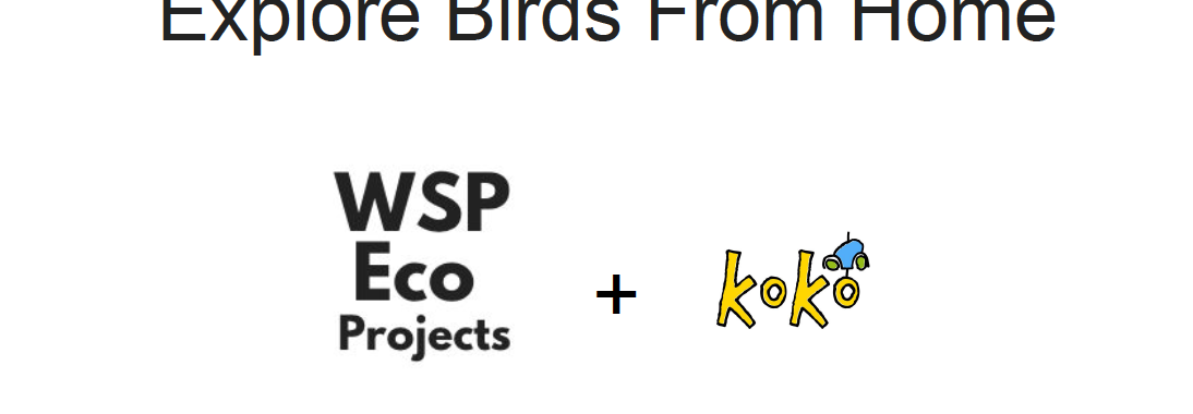 Explore Birds From Home logo