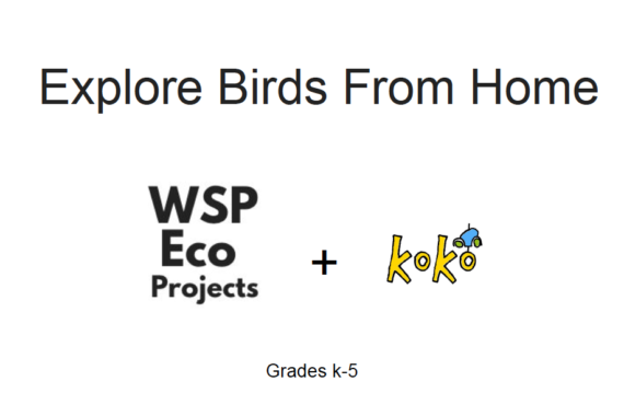 Explore Birds From Home logo
