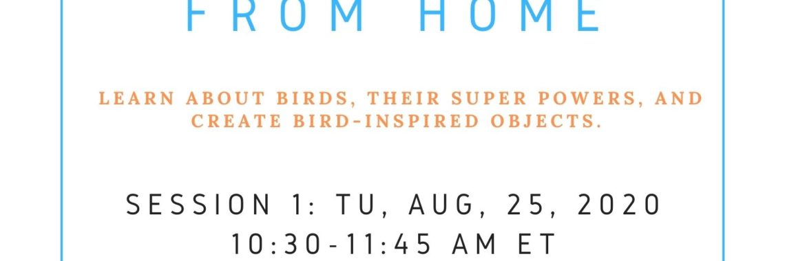 Explore Birds From Home program flyer