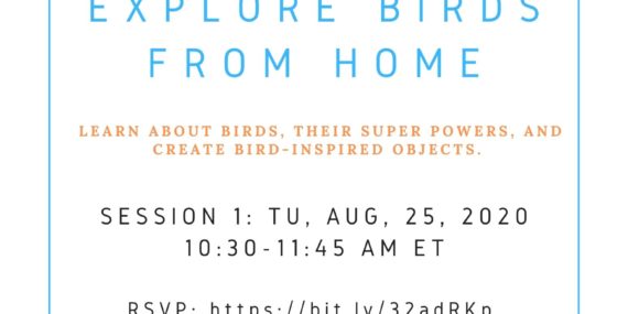 Explore Birds From Home program flyer