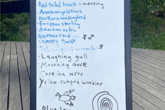A white board A list of bird species observed and heard at the Naval Cemetery Landscape in May 2021