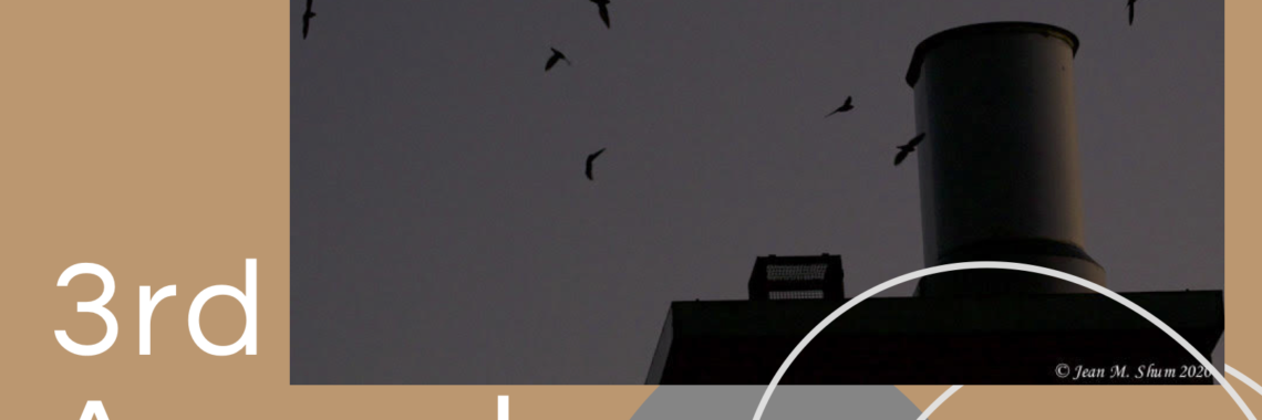 Image of swifts entering a chimney, swift with speech bubble" Do you swift NYC?", WSp Eco Projects logo, and text: Swift Night Out: Count the Birds!