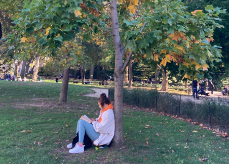 person sitting beneath a tuliptree and reading a book, washington square park, fall 2021