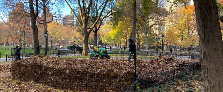 NYC Parks staff managing the leaf mulch project in Washington Square Park, Nov 2021