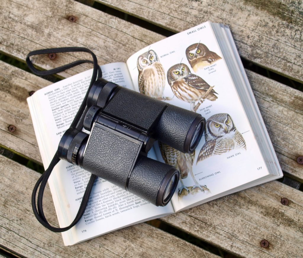 Photo by Diane Helentjaris via unsplash.
Binoculars rest on a bird identification book open to a page on owls.