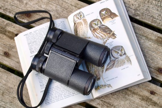 Photo by Diane Helentjaris via unsplash of Binoculars rest on a bird identification book open to a page on owls.