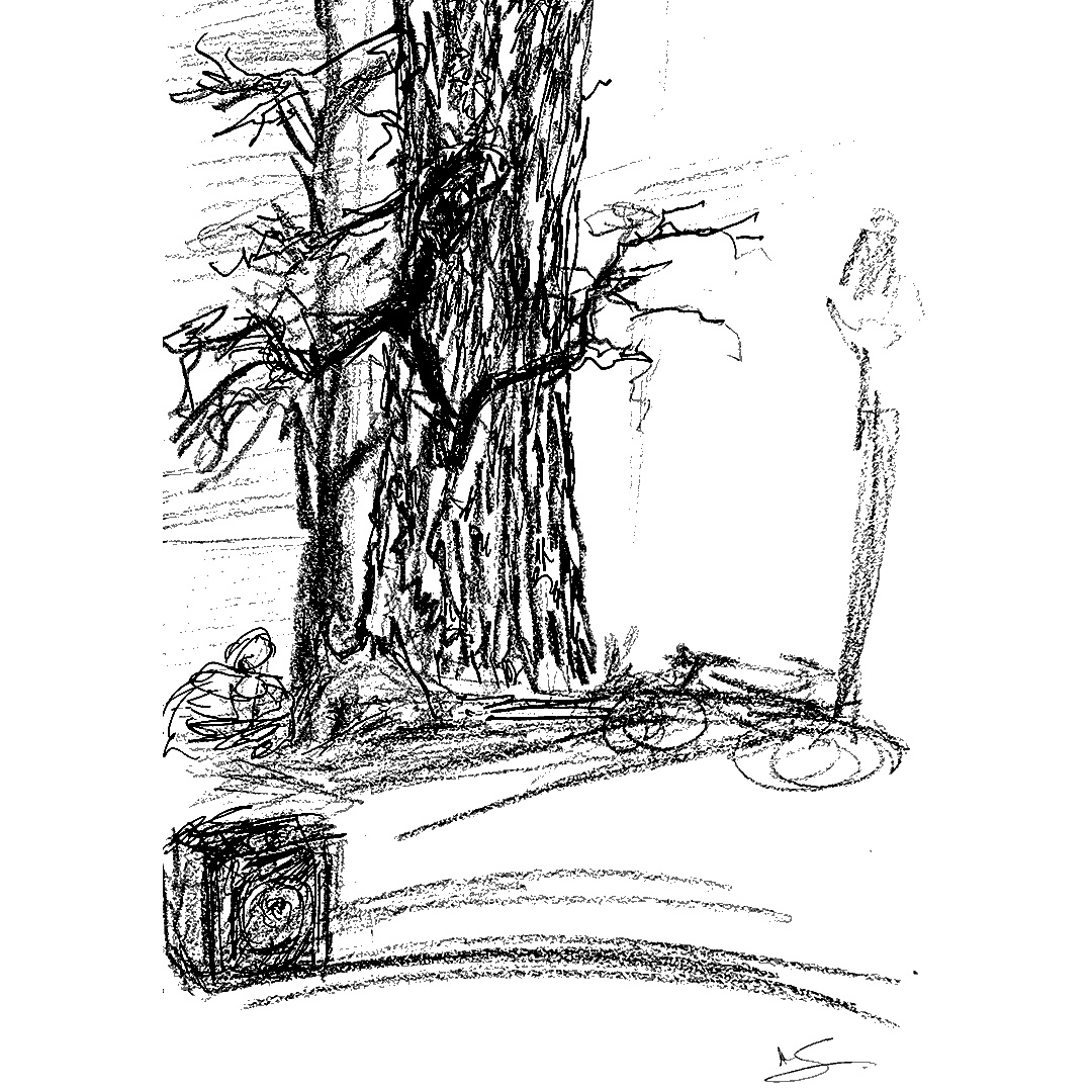 Washington Square Park June 8, 2022 Washington Square Park Eco Projects