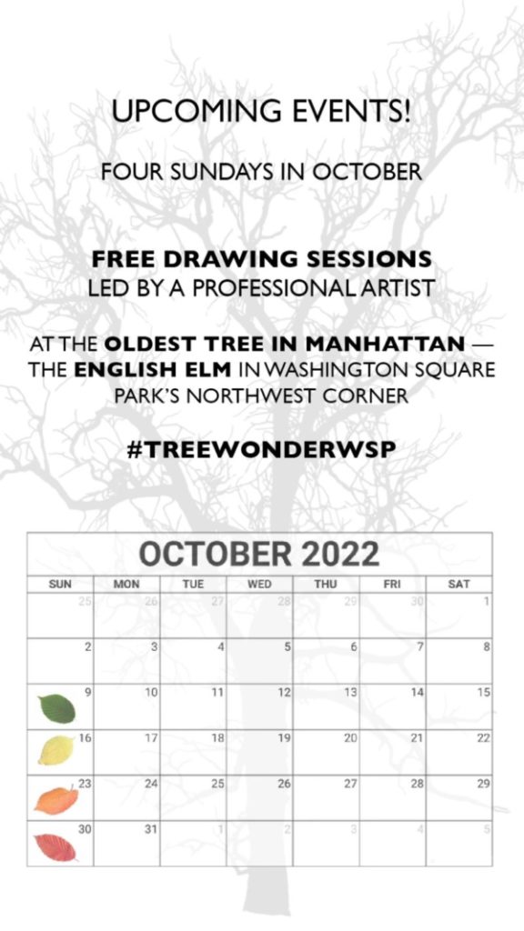 Calendar of Sundays in October 2022 for Tree Wonder drawing sessions.