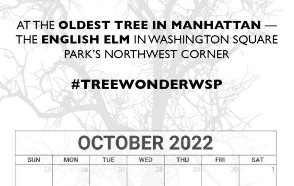 Calendar of Sundays in October 2022 for Tree Wonder drawing sessions.