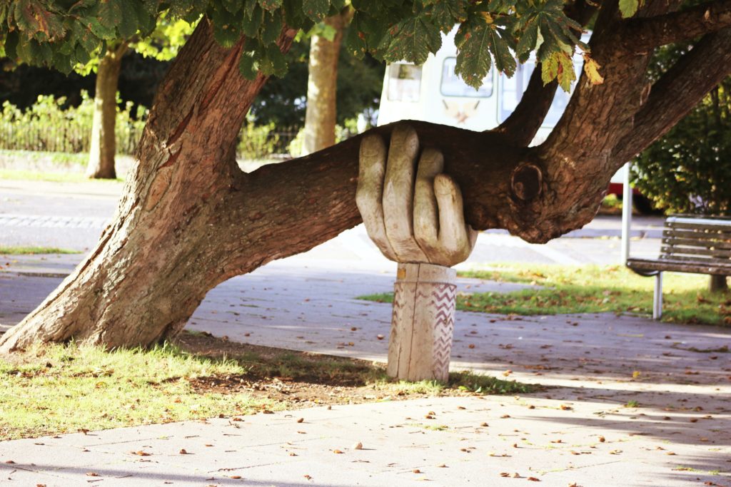 A hand sculpture holding up a large branch of a Horse Chestnut. by Neil Thomas via Unsplash.com.