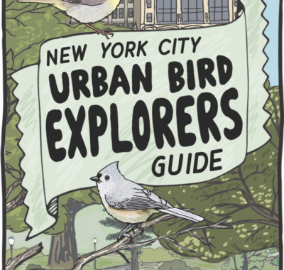 Banner with text: New York City Urban Bird Explorers Guide with three birds, trees in a park, and buildings in the background.