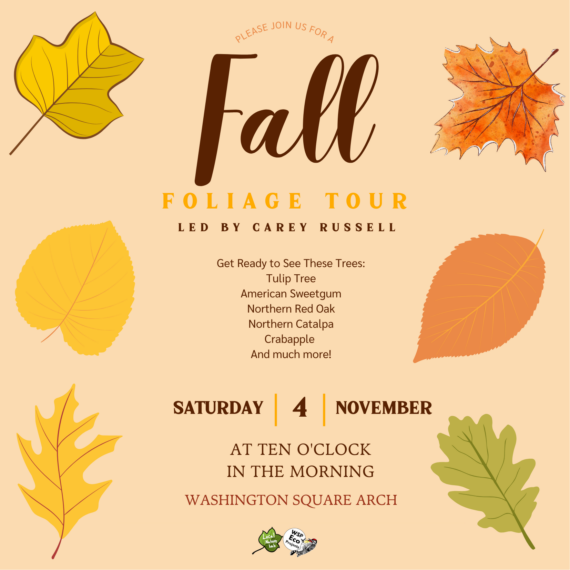 flyer announcing a Fall Foliage Tour led by Carey Russell on Saturday 4 November at 10 am.
