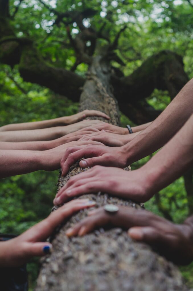 5 pairs of hands in different complexions touching a fallen tree. Shane rounce via unsplash.