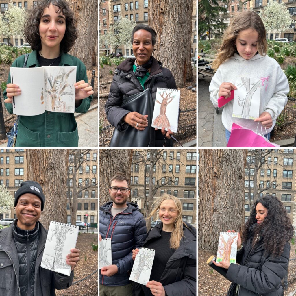A photo montage of 7 people showing their drawings of the English Elm in Washington Square Park , the oldest tree in Manhattan.