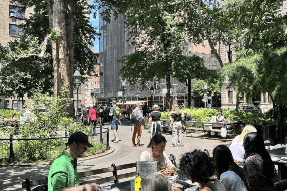 Several people sitting around a bench in a park drawing an old tree.
