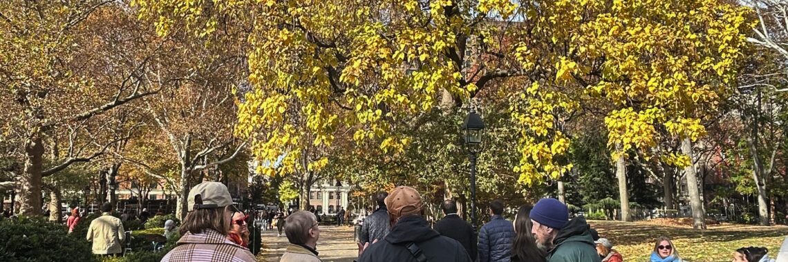 Participants on Arboricultural Tour of Washington Square Park looking at a Northern Catalpa on November 15, 2025.