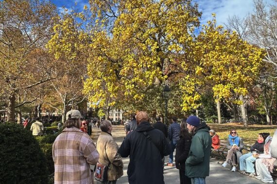 Participants on Arboricultural Tour of Washington Square Park looking at a Northern Catalpa on November 15, 2025.