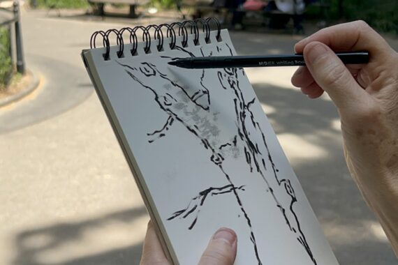 Elisabeth Condon drawing the English Elm in Washington Square Park.