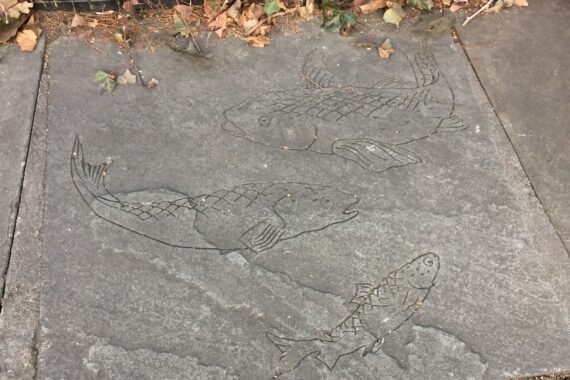 Brook Trout carved into paths at Minetta Green park.