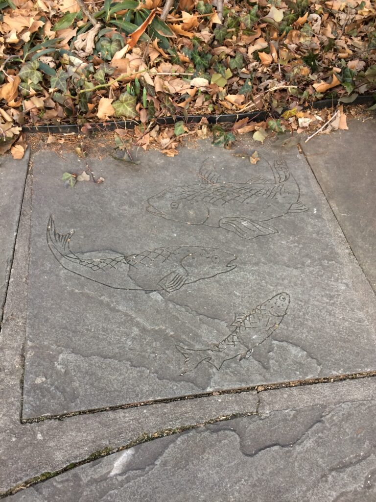 Brook Trout carved into paved paths in Minette Green park.